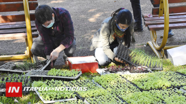«ÑAÑEMITY NDE RÓGAPE» ENTREGÓ PLANTINES DE HORTALIZAS EN ENCARNACIÓN