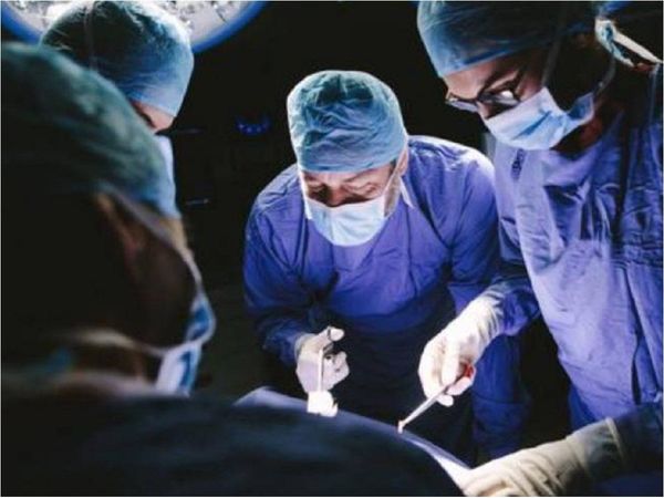 Hallan mecanismo que favorece la regeneración del hígado trasplantado