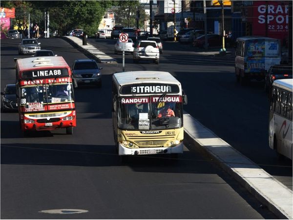 Insisten en aumentar pasajeros en los buses del área metropolitana