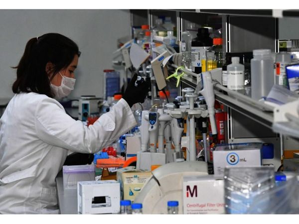 Hidroxicloroquina sería dañina, advierte un médico español