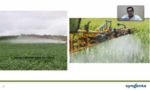 » Tecnología de Aplicación, en webinar de Syngenta