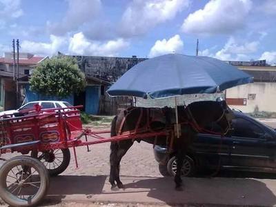 Es Viral: Nobleza y buen gesto de cariño y aprecio al compañero de trabajo