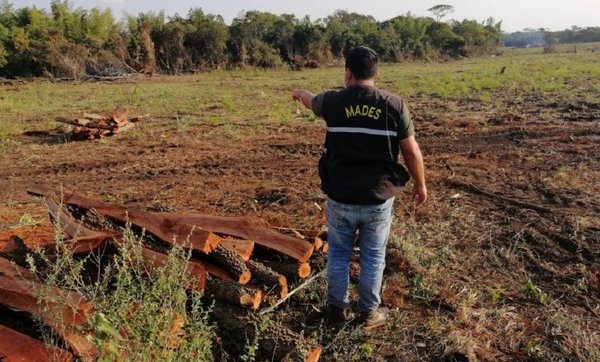 Guairá: Constatan desmonte en zona de Reserva de Recursos Manejados del Ybytyruzú