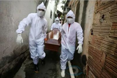 Brasil reportó 396 nuevas muertes por coronavirus y el total asciende a 11.519