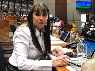César Diesel es un ministro más en la Corte que 'va a blanquear a políticos', dice diputada