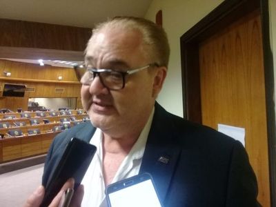 Gobernadores piden ayuda financiera para reactivar economía - Nacionales - ABC Color