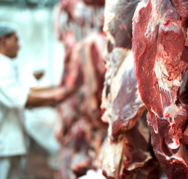 Exportación de carne porcina registra 13,4 % de incremento en primer cuatrimestre del año