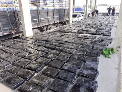 Incautan marihuana en carga de bananas con destino a Argentina