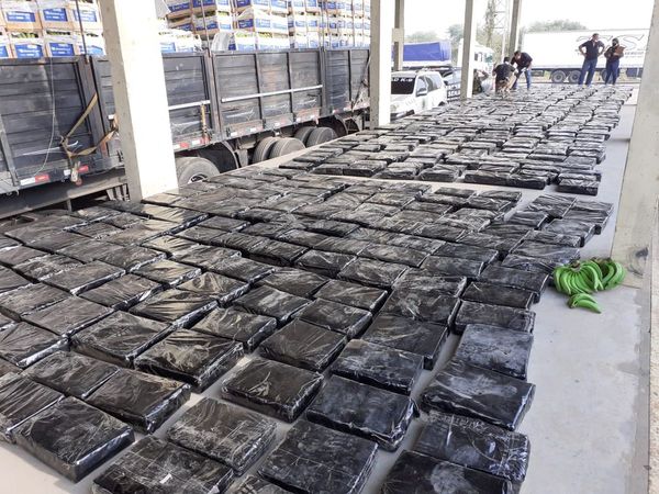 Incautan marihuana en carga de bananas con destino a Argentina