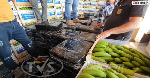 Marihuana «disfrazada» de bananas con destino a la Argentina cae gracias a canes