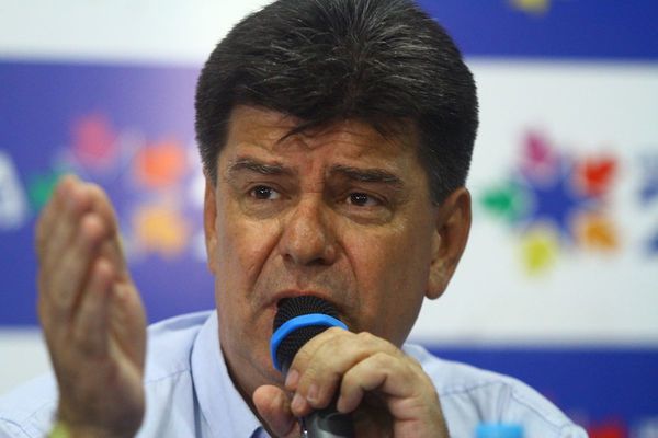Alegre expulsó del directorio del PLRA a cuatro senadores