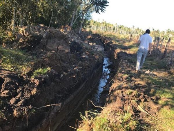 Constatan desecación de humedales, tala y quema de bosques en propiedad de concejal