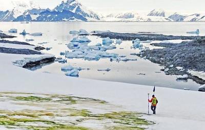 Preocupa la aparición de “nieve verde” en la Antártida