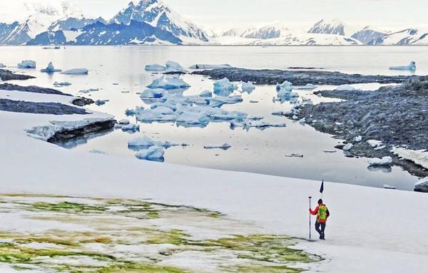 Preocupa la aparición de “nieve verde” en la Antártida