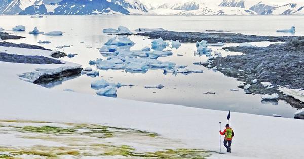 Preocupa la aparición de “nieve verde” en la Antártida