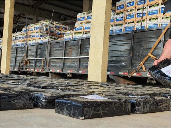 Marihuana incautada en Chaco'i totaliza más de cuatro toneladas