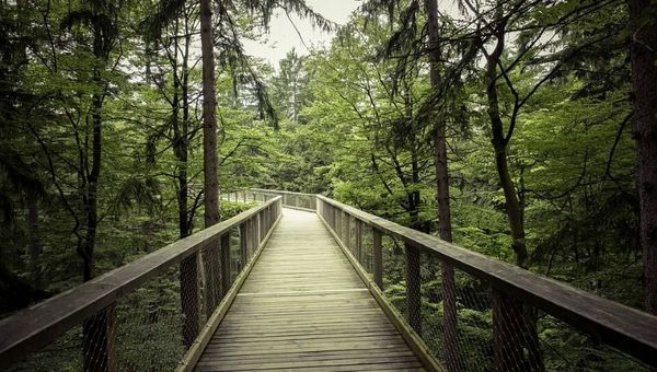 Parques Naturales: componentes esenciales para el turismo europeo que son reconocidos en mayo