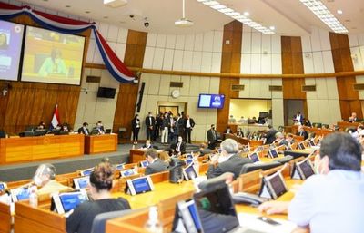 Diputados postergan por segunda vez proyecto que recorta privilegios - Política - ABC Color