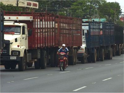 Transportistas de ganado no descartan bajar  el flete