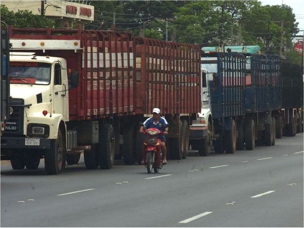 Transportistas de ganado no descartan bajar el flete
