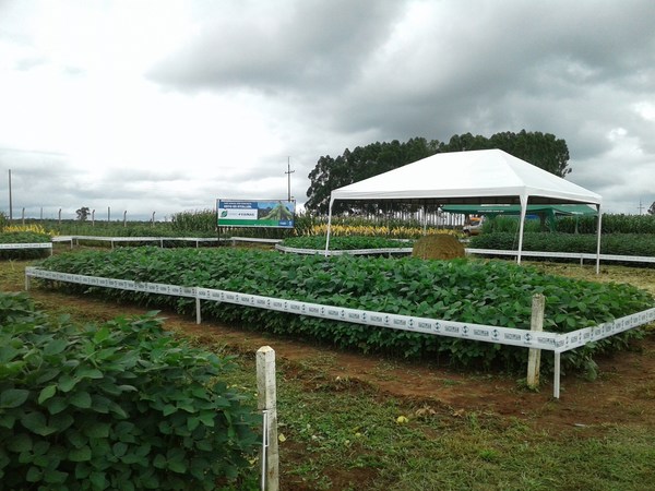 Todo Listo para Día de Campo en Sommerfeld - Campo 9 Noticias