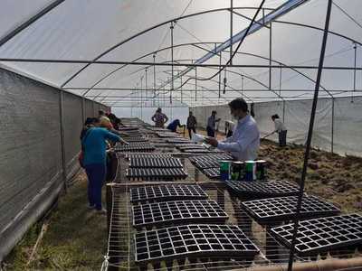 Proyecto productivo genera expectativa en horticultores del Asentamiento Belén - .::RADIO NACIONAL::.