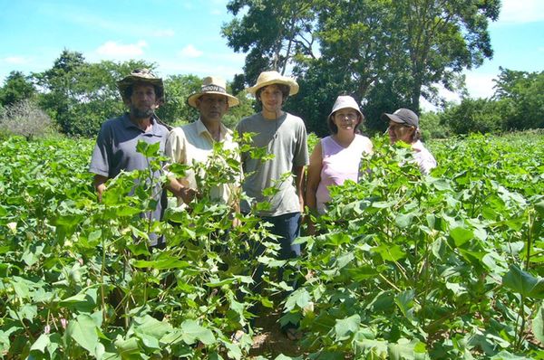 Concurso “Semillas de Bienestar” cerró con más de 200 propuestas para la agricultura familiar