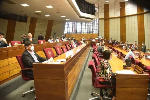 Cámara de Diputados insta al Ejecutivo a promulgar Ley de Informconf