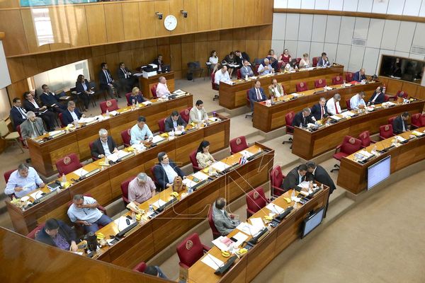 Senadores critican negociado en Salud y desafían a Mazzoleni a desmentir falta de insumos