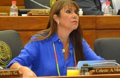 Diputada Celeste Amarilla: 'Estoy cansada de Mazzoleni con su cara de bueno' - C9N
