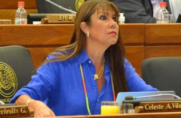 Diputada Celeste Amarilla: 'Estoy cansada de Mazzoleni con su cara de bueno' - C9N