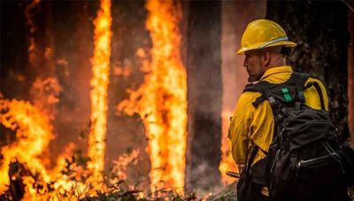 Lanzaron boletín de alerta sobre incendios forestales