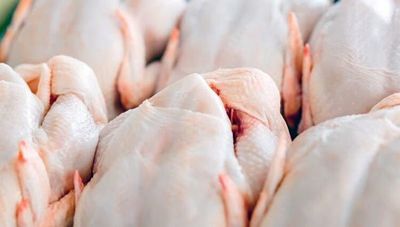 Preocupa al sector avícola ingreso de pollos provenientes de Brasil en plena pandemia