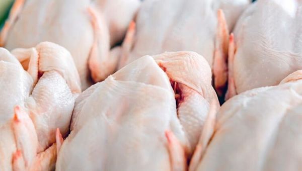 Preocupa al sector avícola ingreso de pollos provenientes de Brasil en plena pandemia