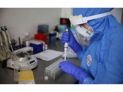 Nuevos estudios, test y ensayos siguen en la lucha contra el Covid