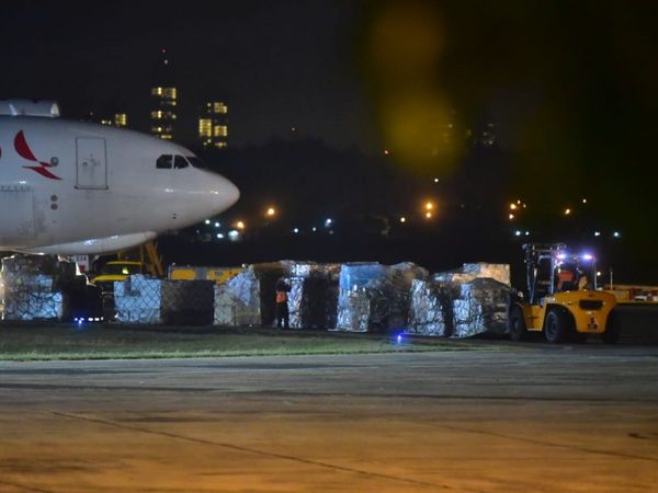 Diputada afirma que compra de insumos está "plagada de errores administrativos"