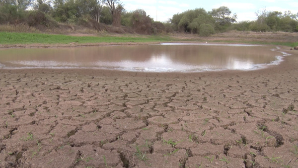 Así se mantiene la comunidad indígena Casuarina pese a la sequía actual 