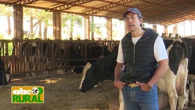 ABC Rural Programa 27: Criterios para encarar apareamiento correctivo en vacas lecheras - ABC Rural - ABC Color