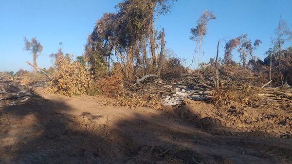 Jefe de Infona, imputado por delito contra el medio ambiente - Nacionales - ABC Color