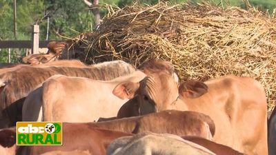 ABC Rural Programa 27: Invet SRL - ABC Rural - ABC Color