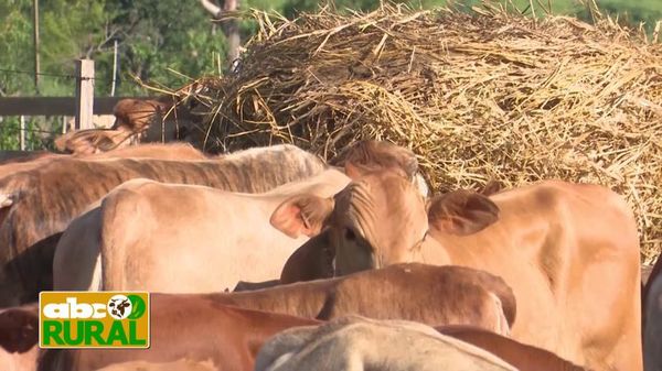 ABC Rural Programa 27: Invet SRL - ABC Rural - ABC Color