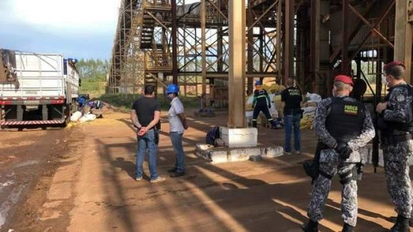 Justicia ordena destruir marihuana de la mayor incautación de Brasil y que salió de Ponta Porâ