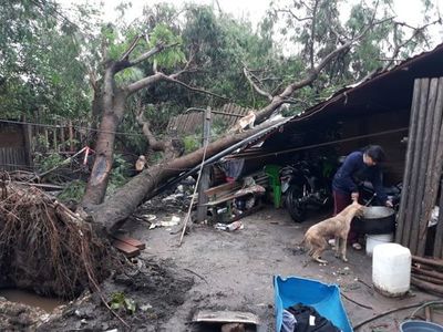 Temporal causó estragos a familias ovetenses - Nacionales - ABC Color