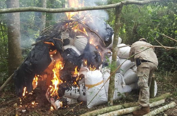 Eliminan más de ocho toneladas de marihuana en Alto Paraná » Ñanduti