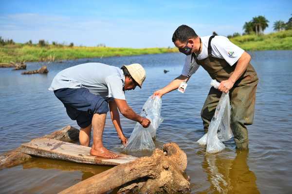 Itaipú entregó más de 900 kg de peces a comunidades indígenas de Alto Paraná - .::RADIO NACIONAL::.