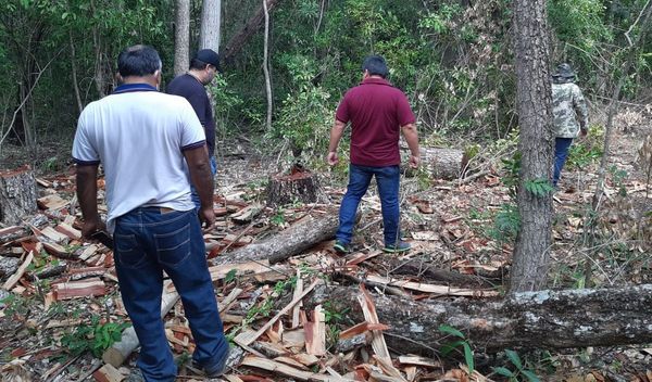 Siguen controles en zona desmontada del Parque Nacional San Luis