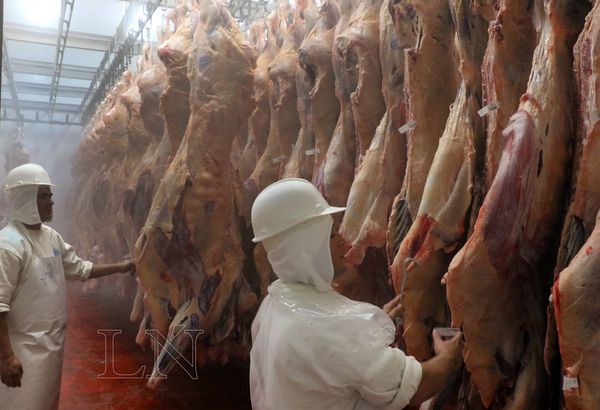 Agilizan gestiones para reanudar exportación de carne a Israel