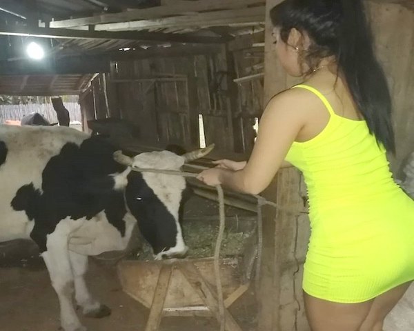 Sin pasarela, modelo saca leche a las vacas | Crónica