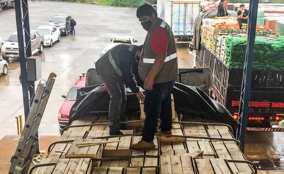 Ingreso de productos vegetales aumentaron en primer cuatrimestre
