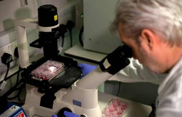 Millonaria inversión de Reino Unido en busca de la vacuna contra el COVID-19